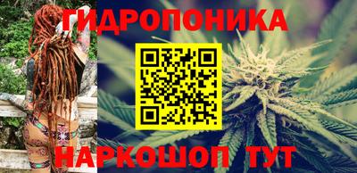 PSILOCYBIN Можайск