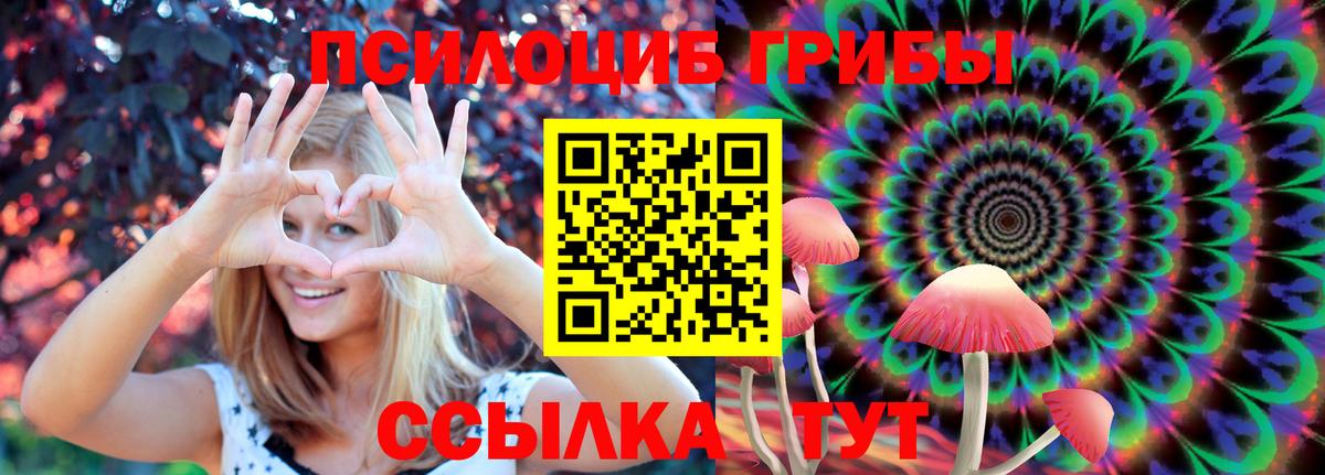 Псилоцибиновые грибы Magic Shrooms Хабаровск